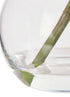 Rogue Cymbidium-glass Vase White Artificial Plants The Cooks Kitchen 