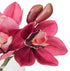 Rogue Cymbidium-glass Vase Burgundy