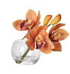 Rogue Cymbidium-glass Vase Orange