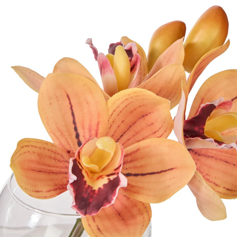 Rogue Cymbidium-glass Vase Orange
