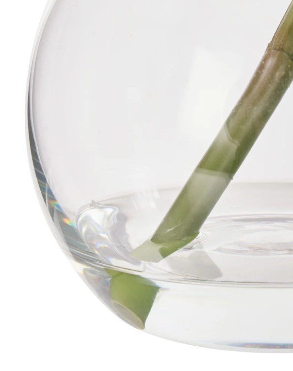 Rogue Cymbidium-glass Vase Orange