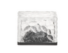 Rogue Lumo Solar Brick - Square Black & Warm White
