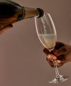 Plumm Outdoors Sparkling Wine Glass - 4 Pack
