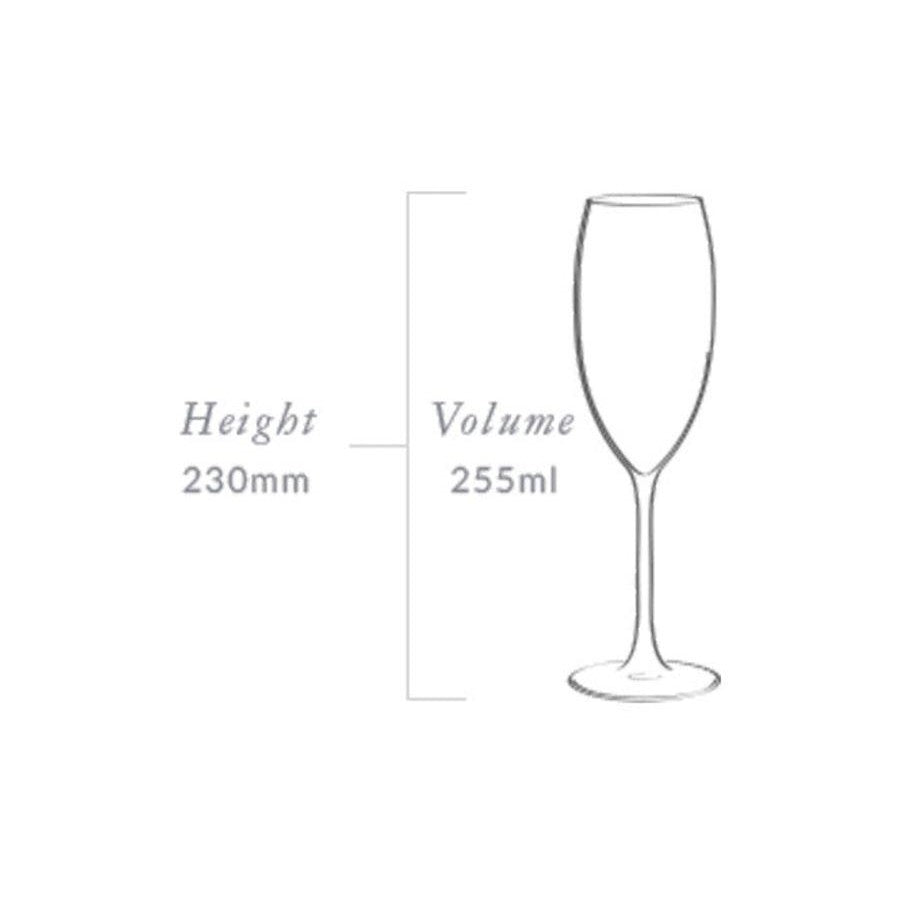 Plumm Outdoors Sparkling Wine Glass - 4 Pack