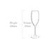 Plumm Outdoors Sparkling Wine Glass - 4 Pack