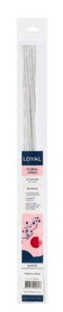Loyal Floral Wire White 22 Gauge