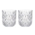 Davis & Waddell Fine Foods Deluxe Double Old Fashioned Set Of 2, 280ml Glassware The Cooks Kitchen 