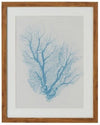 Amalfi Leaf Sketch Wall Art 40x50