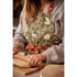 Ulster Weavers Forest Friends Sage Apron Aprons The Cooks Kitchen 