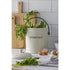 Davis & Waddell Darley 3.5l Compost Bin, Cream 22x18x25cm Fruit & Vegetable Storage The Cooks Kitchen 