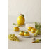 Emporium Limoncello Salt And Pepper Shakers Yellow & Green 13x8.2x6cm Shakers The Cooks Kitchen 