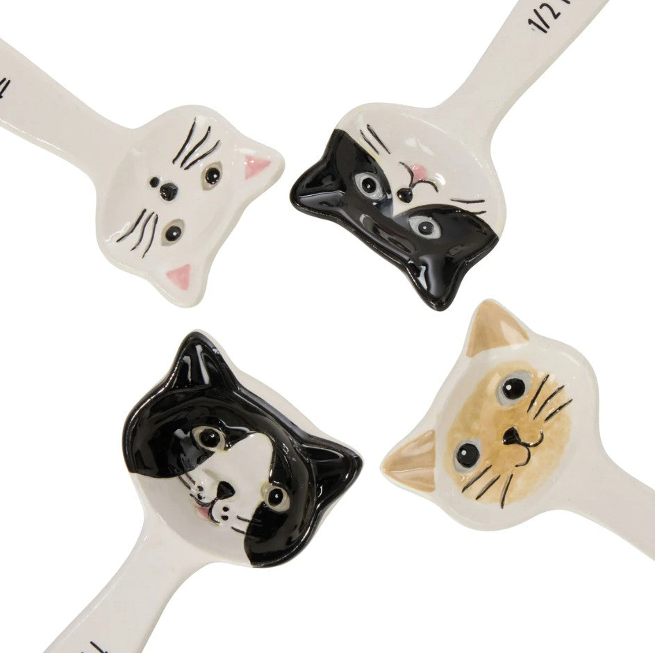 Davis & Waddell Whiskers Measuring Spoons 