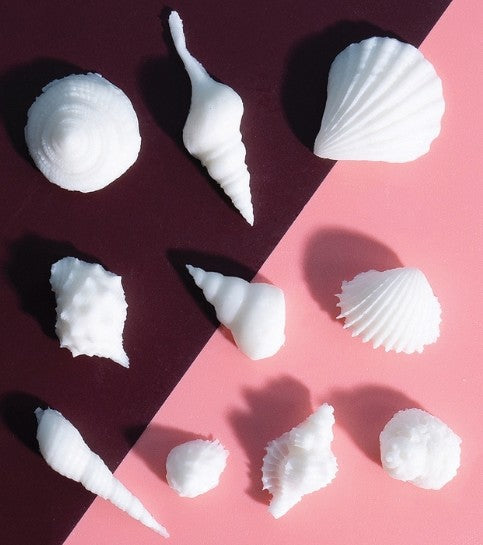 Sprinks Silicone Mould Sea Shells