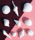 Sprinks Silicone Mould Sea Shells Silicone Moulds The Cooks Kitchen 