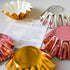 Rose Gold Bloom Baking Cups 24 Boards & Boxes & Packaging The Cooks Kitchen Mandurah 