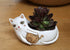 Rikaro - Baby White Cat With Yarn Planter Vases & Planters The Cooks Kitchen 