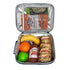 Sachi "style 225" Insulated Junior Lunch Tote - Dinosaur Land