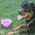 White Magic Collapsible Travel Pet Bowl